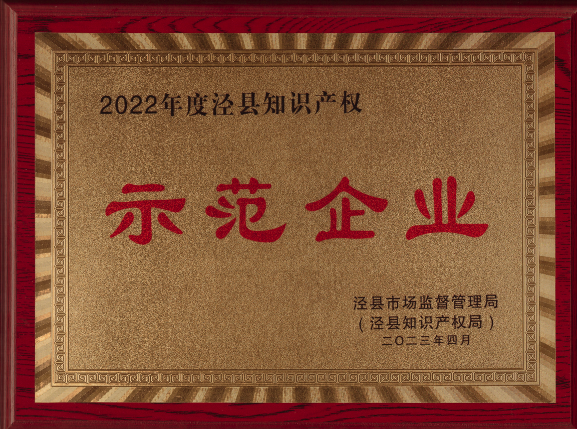 2023年泾县知识产权示范企业